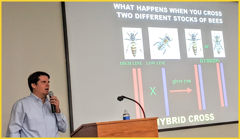 Krispn Given speaking about Honey Bee Genetics and Queen Insemination